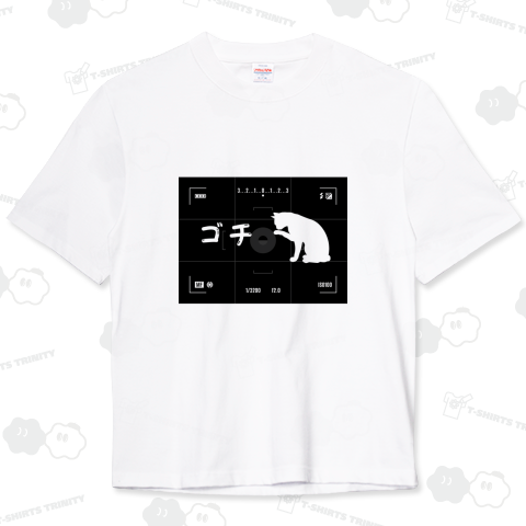 車載カメラに映り込むネコちゃん。その3