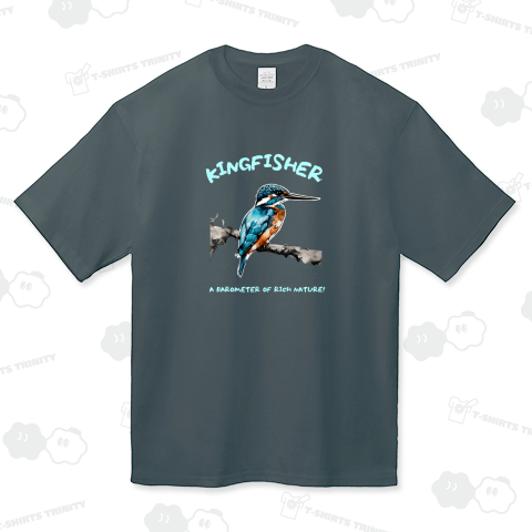 カワセミ!豊かな自然のバロメーター