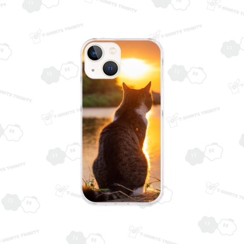 黄昏のキジトラ白-猫