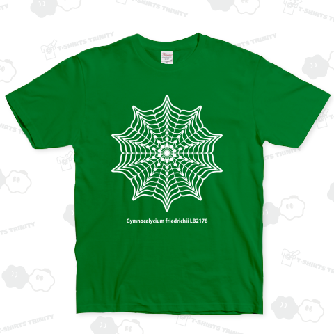 Gymnocalycium friedrichii LB2178★白