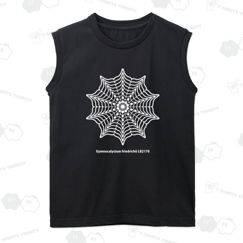 Gymnocalycium friedrichii LB2178★白