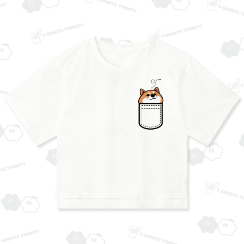 ぴったりだけど限界かもしばいぬさん