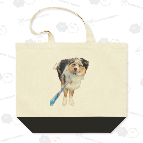 オーストラリアンシェパード(拒否)