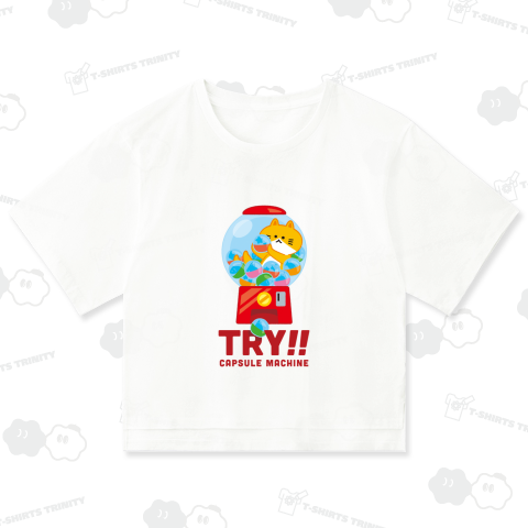 ガチャガチャねこ