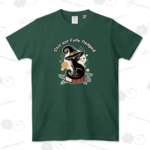 ちょっと頼りない黒猫見習いの魔法修行日記