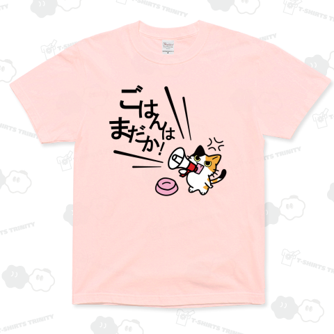 空腹アピール全開の猫抗議!_白