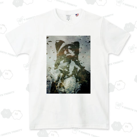 仰向けで寝るチワワ