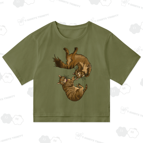 アクロバティック猫ちゃん