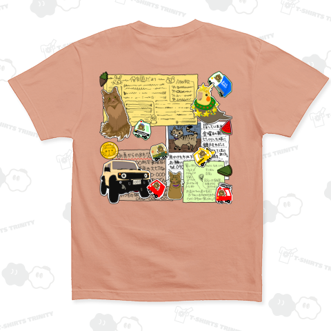 猫ちゃん探しています