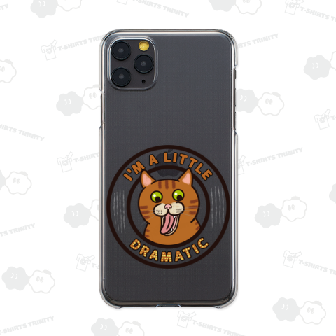 ちょっと大げさな茶トラ猫