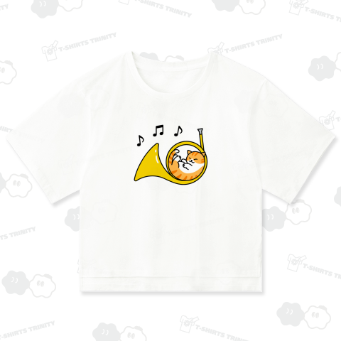 ホルンでアンモニャイト