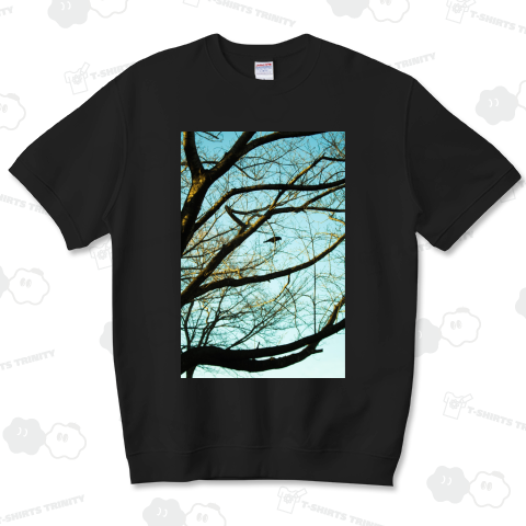 Blackbird singing in the dead of night.