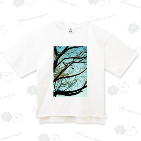 Blackbird singing in the dead of night.