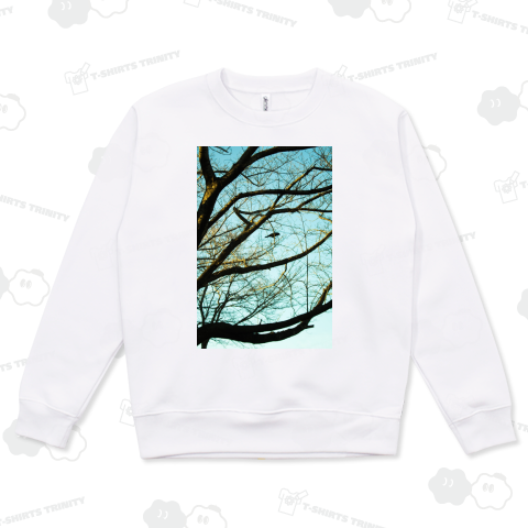 Blackbird singing in the dead of night.