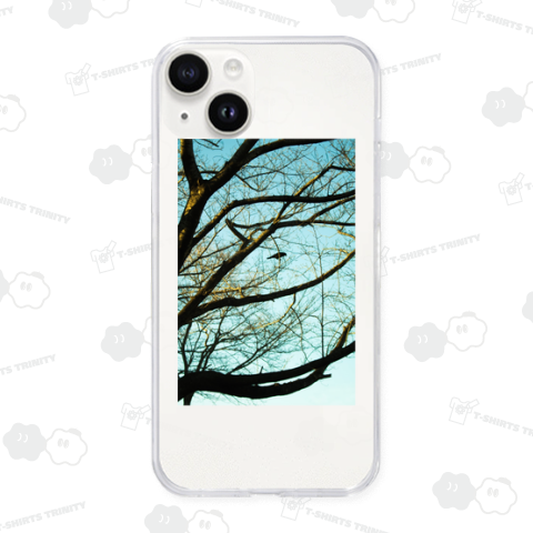 Blackbird singing in the dead of night.