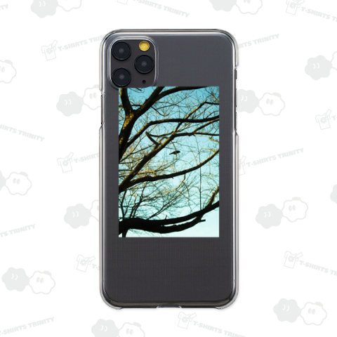 Blackbird singing in the dead of night.