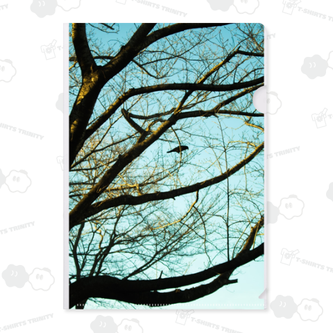 Blackbird singing in the dead of night.