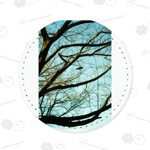 Blackbird singing in the dead of night.