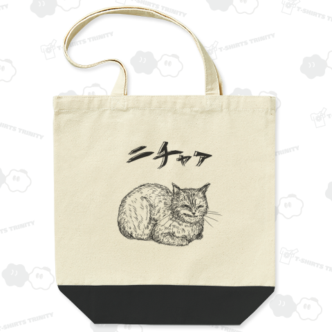 こうばこ座りのニチャア猫です