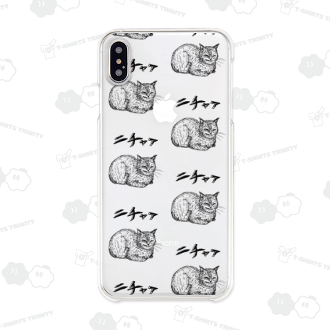 こうばこ座りのニチャア猫です