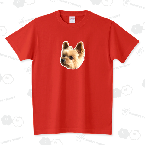 どこかを見ているヨークシャーテリア