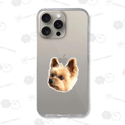 どこかを見ているヨークシャーテリア