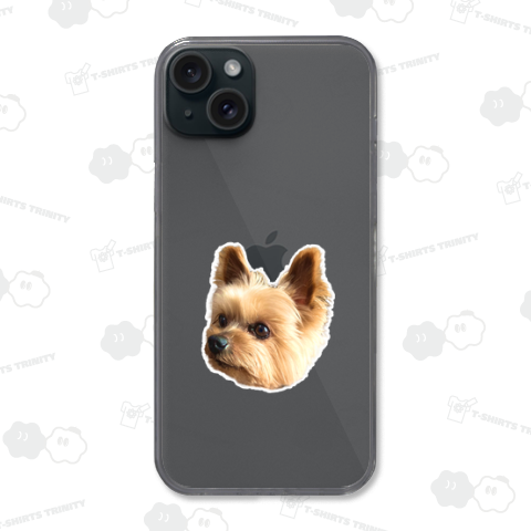 どこかを見ているヨークシャーテリア