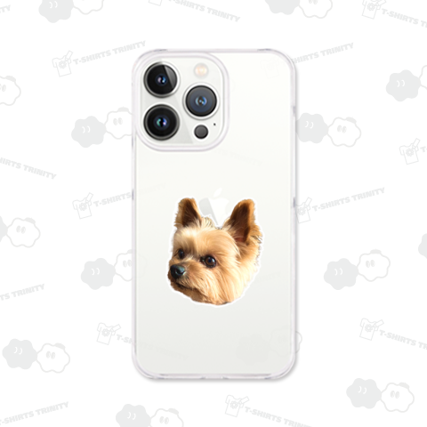 どこかを見ているヨークシャーテリア