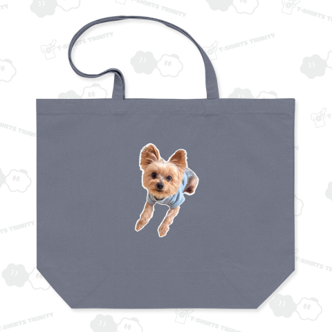 伏せるヨークシャーテリア