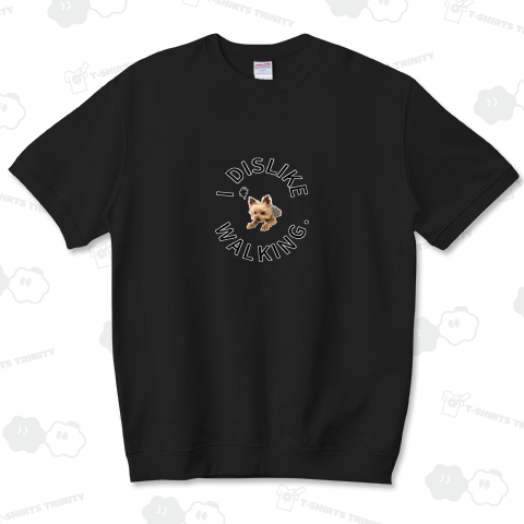 散歩嫌いヨーキー