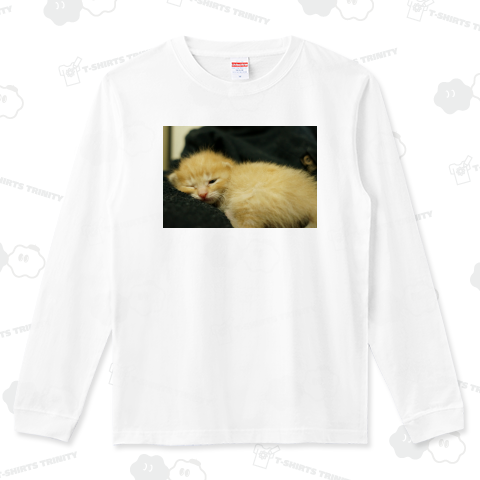 ブラウちゃん眠い