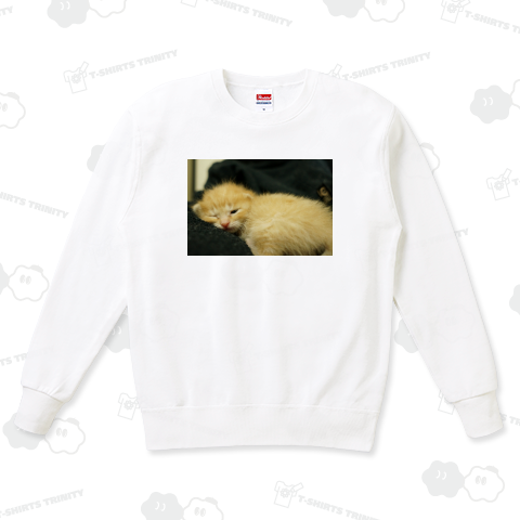 ブラウちゃん眠い