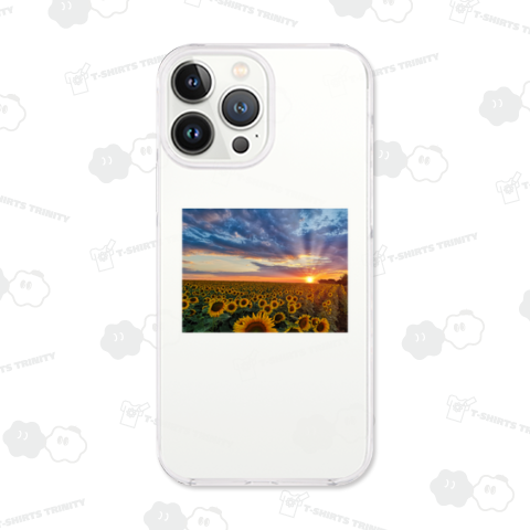 ひまわりと夕陽のパノラマTシャツ