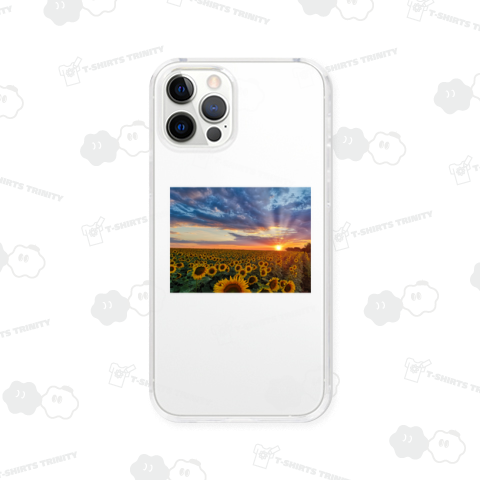 ひまわりと夕陽のパノラマTシャツ