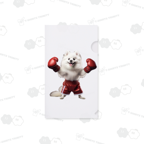 白いポメラニアンのボクサー