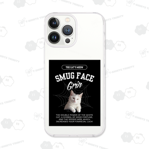 白猫と蜘蛛の巣