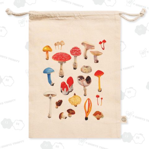 Mushrooms キノコ