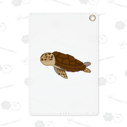 いさぎよくウミガメ