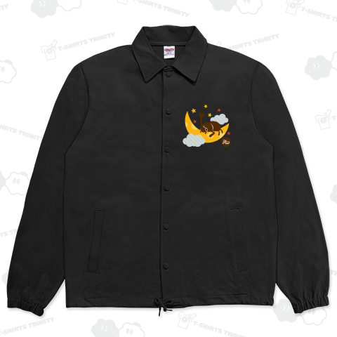 夜空のカブトムシ