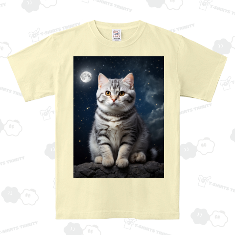 アメリカンショートヘアと満月