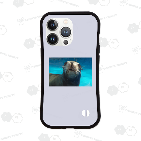 california sea lion(カリフォルニアアシカ)01文字なし表