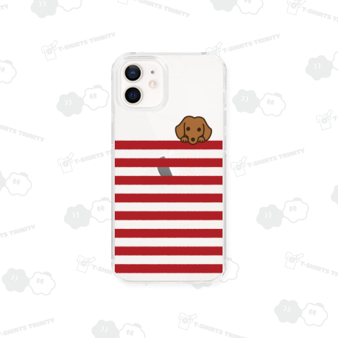 シマシマダックスフンド