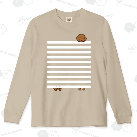 シマシマダックスフンド B白