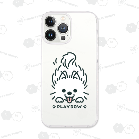 ポメラニアン PLAYBOW B