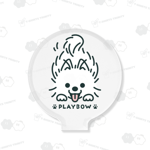 ポメラニアン PLAYBOW B