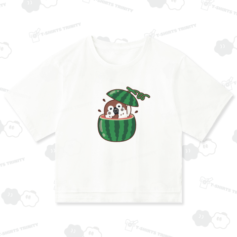 スイカ スズメがちゅんフルーツからこんにちは♪