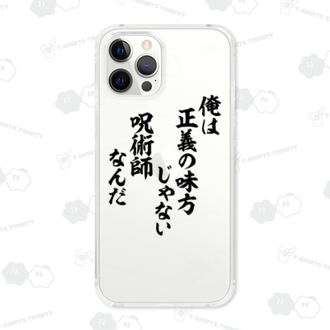 俺は正義の味方じゃない 呪術師なんだ