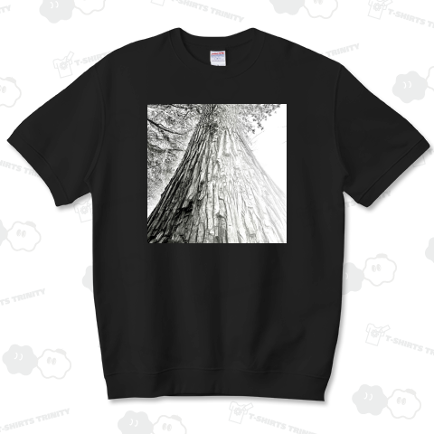 神楽坂シンドローム