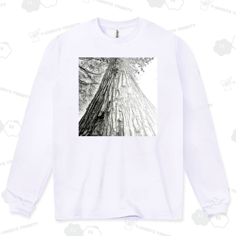 神楽坂シンドローム