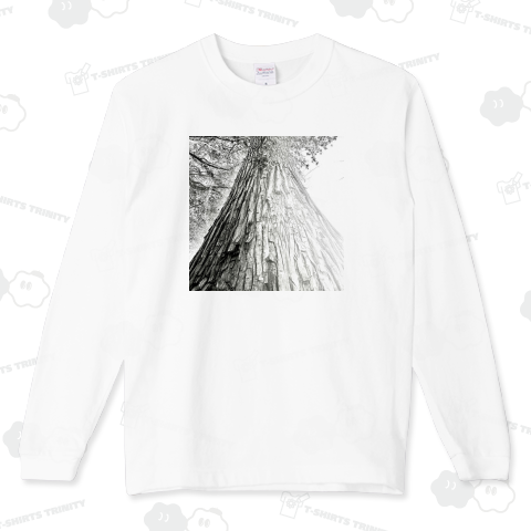 神楽坂シンドローム